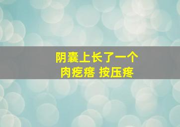 阴囊上长了一个肉疙瘩 按压疼